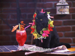 ... the teenage witch Salem Saberhagen Black Cat salem salem the cat