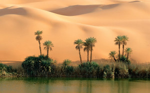 Desert Oasis Google Themes