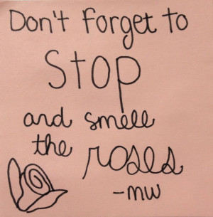 Don't forget to stop and smell the roses