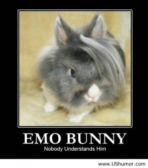 emo,bunny,animal,rabbit,haha,funny,lol,cute