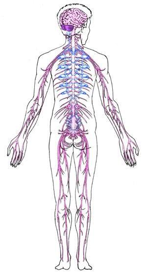 Funny Quotes Contact Dmca...