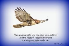 ... hawk action! #hawk #quotes #life #independence #children #wisdom #