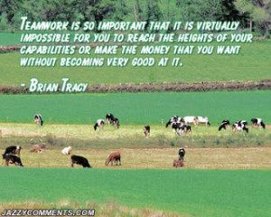 Teamwork quotes, teamwork quotes inspirational