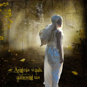 Angels Walk Among Us
