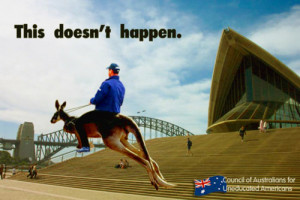 Aussie-stereotypes-Kangaroo