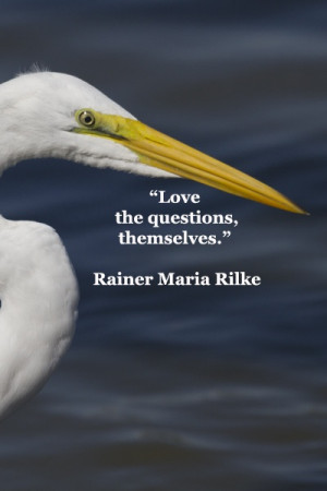 Love the questions, themselves.” -- Rainer Maria Rilke – On image ...