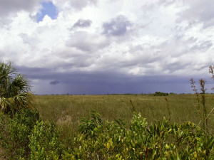 Boat Against the Current