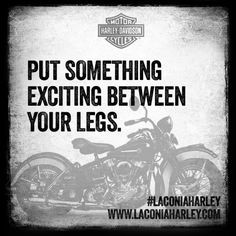 ... Harley-Davidson! #laconiaharley #bikeweek #laconiamotorcycleweek