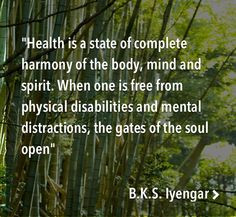 healthy health quotes quotes bks iyengar iyengar yoga quotes healthy ...