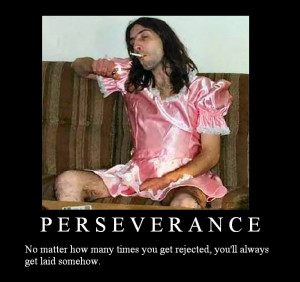 Perseverance Image