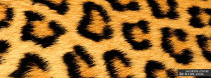 Results For Animal Print Facebook Covers