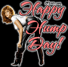 Hump Day Graphic