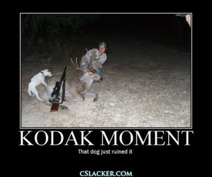 funny deer hunting memes source http car memes com funny hunting