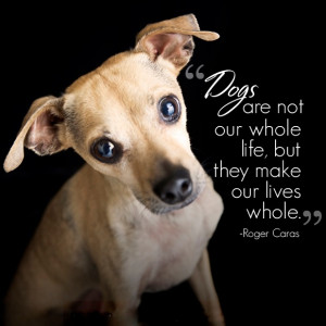 ... are not our whole life, but they make our lives whole. -Roger Caras