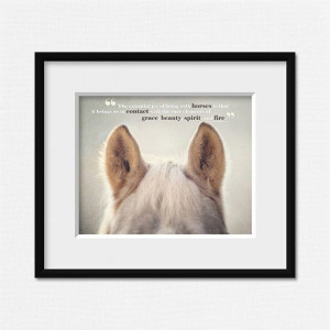 Horse Art, Horse Photography, Horse Quotes, Joy of Horses, Horse Ears ...