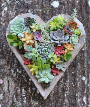 18 Lively Handmade Succulent Spring Decorations (2)