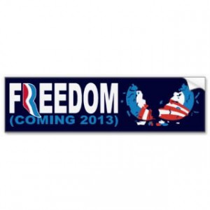 FREEDOM (COMING 2013) Anti Obama Romney 2012 Bumper Stickers