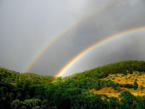 ... double rainbow as secondary rainbows are caused by a double reflection