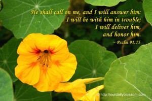 ... with him in trouble; I will deliver him, and honor him. ~ Psalm 91:15