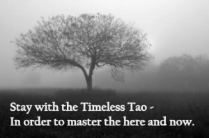 Daily Tao Quote