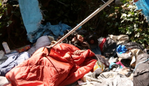 Funny Quotes Contact Dmca...