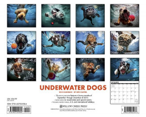 underwater dogs wall