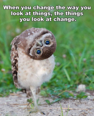 ... the way you look at things, the things you look at change. ~Wise Owl