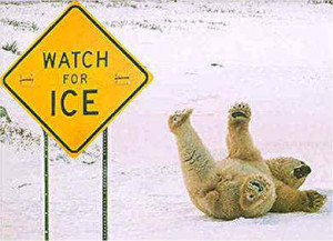 ... among you truly loves cold weather i m not seeing any hands in the air