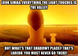 Lion King Meme Everything The Light Touches