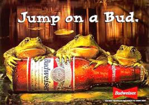 The Famous Budweiser frogs holding a Budweiser bottle! Another example ...