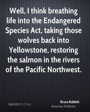 Yellowstone Quotes
