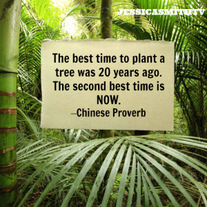 The best time to plant a tree was 20 years ago. The second best time ...