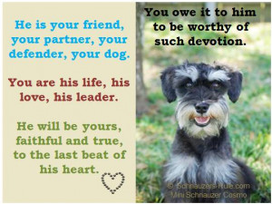 Dog Loss Quotes Sayings A dog's devotion