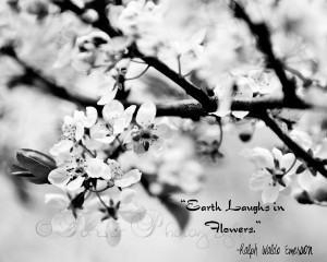 Earth laughs in flowers.