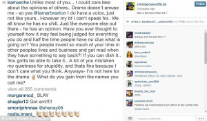 Doesn't care: Chris posted Karrueche Tran's comments on the whole ...