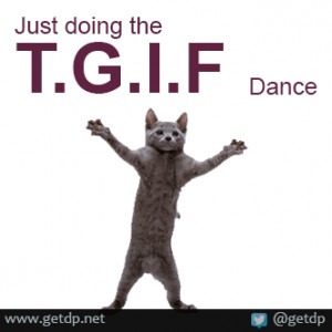 Very cute cat Doing the T.G.I.F dance