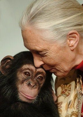 ... with compassion and love. Love for all living beings.” -Jane Goodall