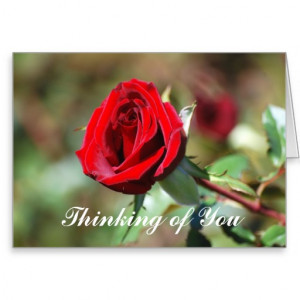 Thinking of You Romantic Red Rose Card