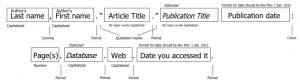 MLA citations for newspaper articles from a database