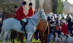Fox Hunting Ban Could Relaxed