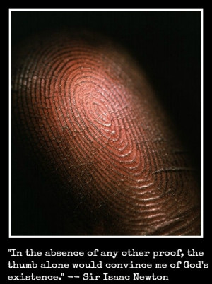 ... the thumb alone would convince me of God’s existence.