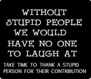Without stupid people