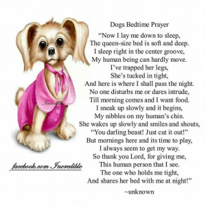 Dog's bedtime prayer: Dogs Stuff, Dogs Bedtime Prayer, Doggie Prayer ...