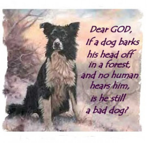 Dog sayings, dog sayings and phrases