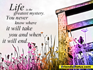 Life Mystery Quotes...