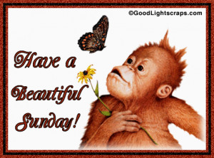 morning sunday quotes happy sunday happy sunday funday good morning ...