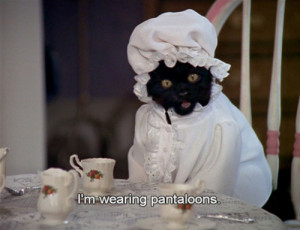 Salem the cat by suneye1999