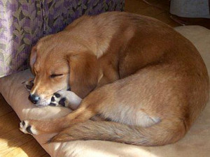 Faith and Reason: A conversation about religion, spirituality and ...