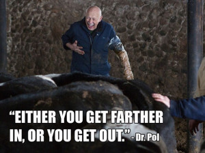 Memorable Moments From Dr. Pol