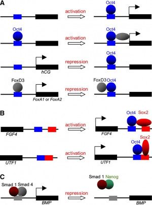 Funny Quotes Contact Dmca...